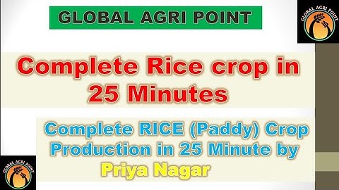Complete Rice Crop in 25 Minutes by PRIYA NAGAR