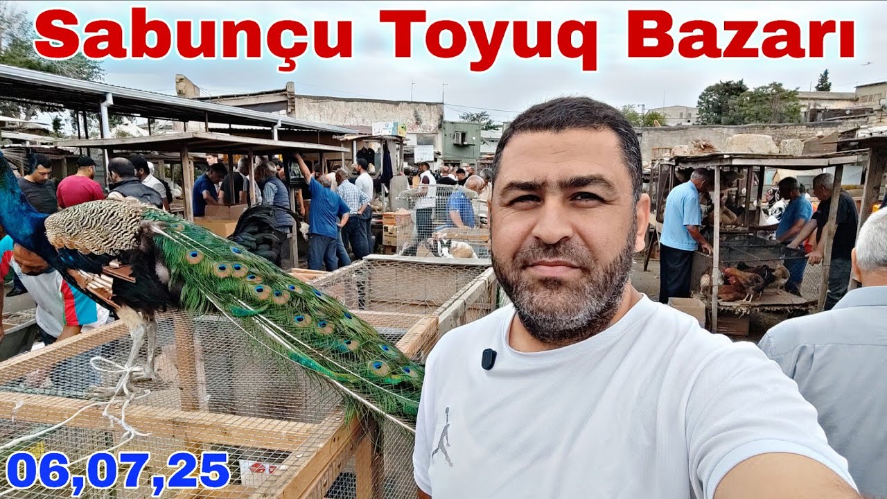 Sabunçu Toyuq Bazarı 6 iyul 2025