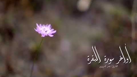 أواخر سورة البقرة القارئ/عمر الدريويز