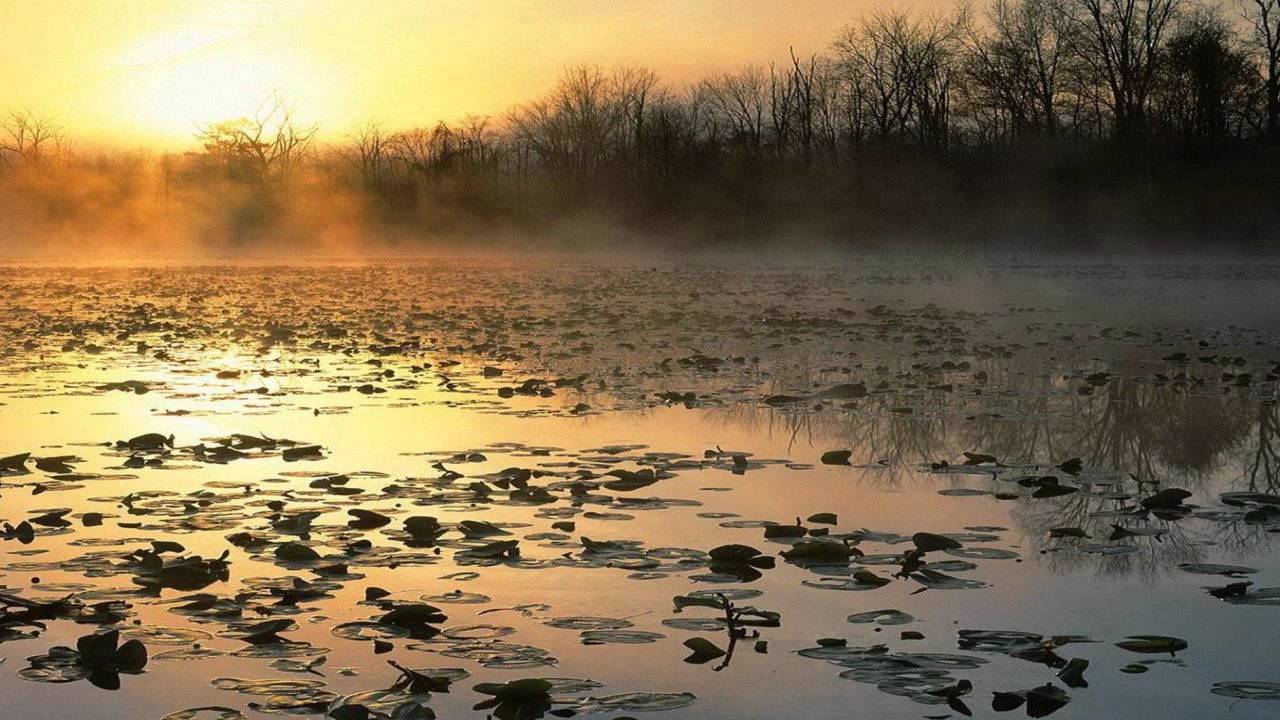 Will B - Twenty Three (JPL Remix) [HD]