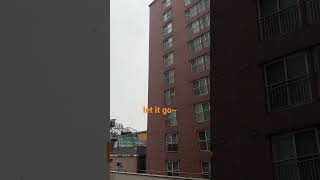 서울 #망우동헬스장 #팀키스상봉#teamki#첫눈 #헬스트레이너