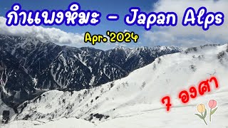 กำแพงหิมะญี่ปุ่น - Japan Alps 2024