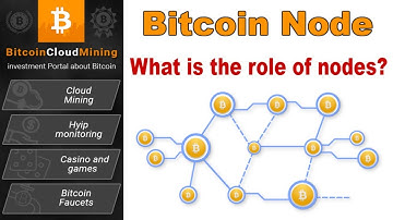 Bitcoin Node: What is the role of nodes?