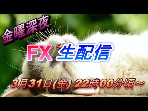 【TAKA FX】今年もう四半期終ったんですね～早いｗ　FX生配信 3月31日(金）22時00頃～