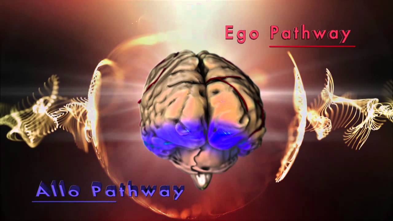 Creative Process, Brain Pathways for Self (Egocentric) and Other ...