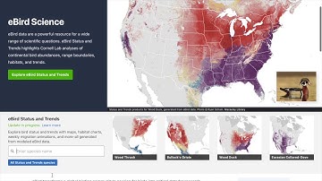 eBird Website Tutorial