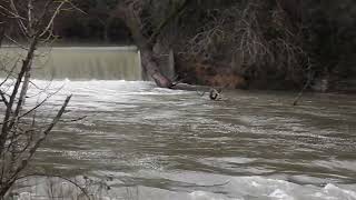 Oria Ibaia Lasarte-Oria