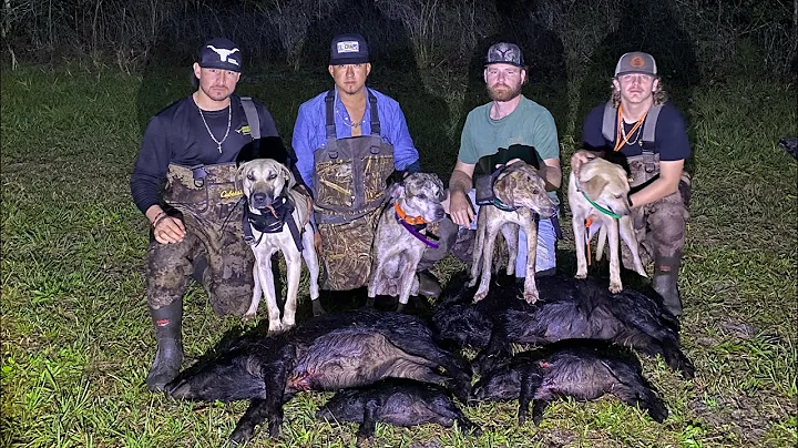 Central FL Hog Hunting with Dogs on New Year’s Eve