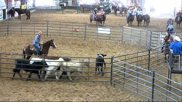 Sallys Dual Pep - sorting with beginner 50.73 on 3 - Valley View Ranch