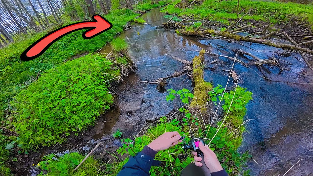 UPĖTAKIŲ ŽVEJYBA NAUJAME UPELYJE!