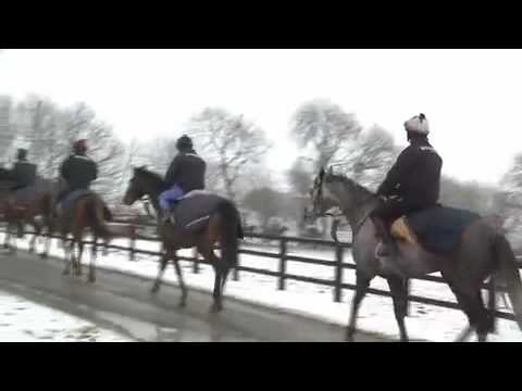 Alan King - Cheltenham Stable Tour