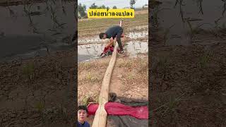 ปล่อยน้ำลงแปลง#automobile #work #shorts #remix #diy #viral #tractor #mechanic #youtubeshorts #งาน