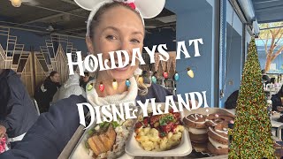 Holidays At Disneyland   Vlog