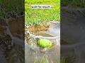 farming Reels 🌍🥑#song #viral #trending #instagram #reels #explore #khetibadi #virulshorts