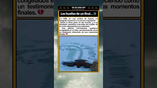 Lo Que Un Rastro En La Nieve Puede Contar