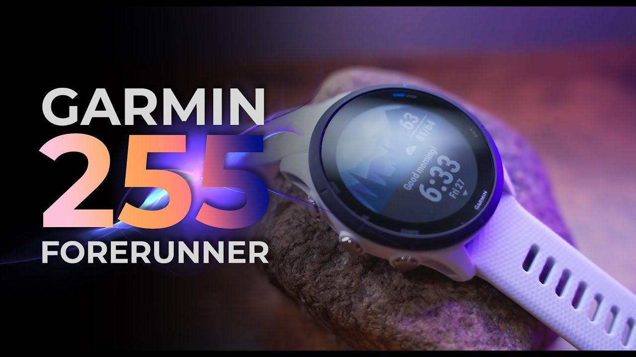 Смарт-годинник Garmin Forerunner 255 Slate Gray (010-02641-00