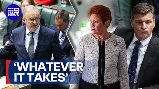 Opposition Leader not ruling out team-up with Pauline Hanson to topple Labor | 9 News Australia