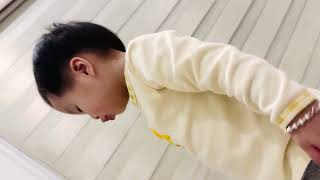IMG 6537