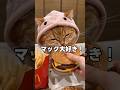 みんなの猫ちゃんもマック食べる？うちの子だけ？ #猫動画 #cat #子ネコ #猫のいる暮らし #cute #猫好きさんと繋がりたい #猫のいる暮らし #マクドナルド