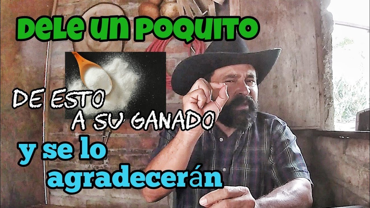 Deles una cucharada al día y su Ganado se lo agradecerá