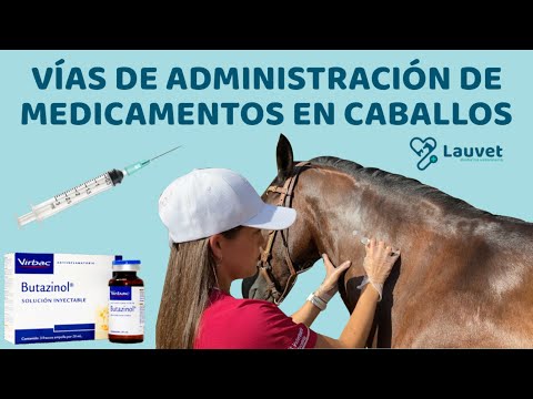 Video: Inyección Anticonceptiva Aprobada Para Caballos Salvajes