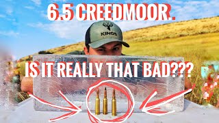 Does the 6.5 Creedmoor....Need More? (Buffalo Harvest)