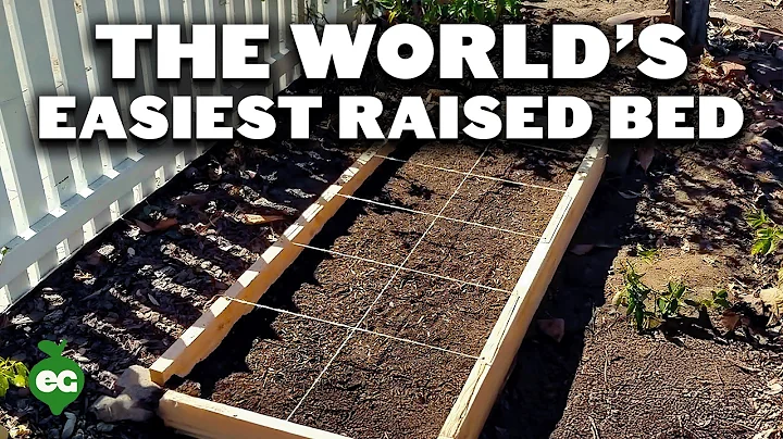 How to Build Cheap, DIY Raised Garden Beds In Under 30 Minutes