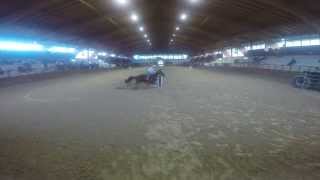 Susan De Cristofaro - Caduta Tossicia 2014