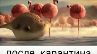После Карантина