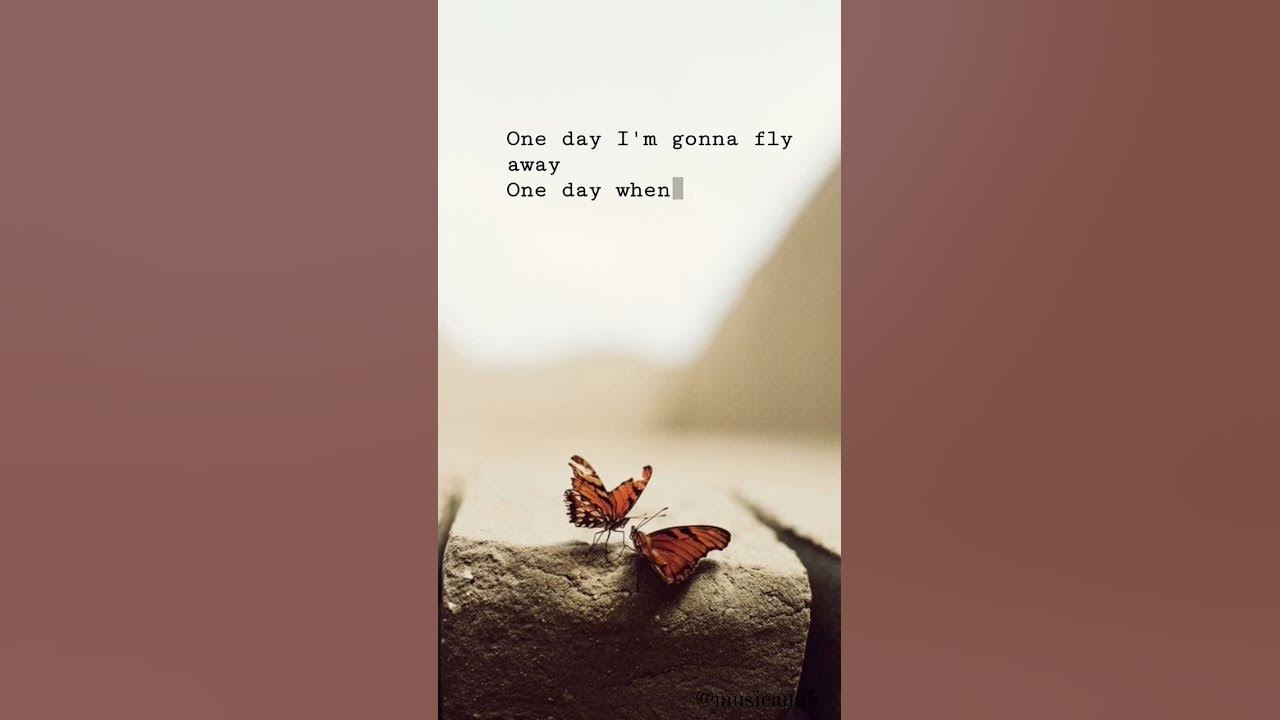 One day! #music #trending #song #lyrics #oneday One day! #music #trending #song #lyrics #oneday