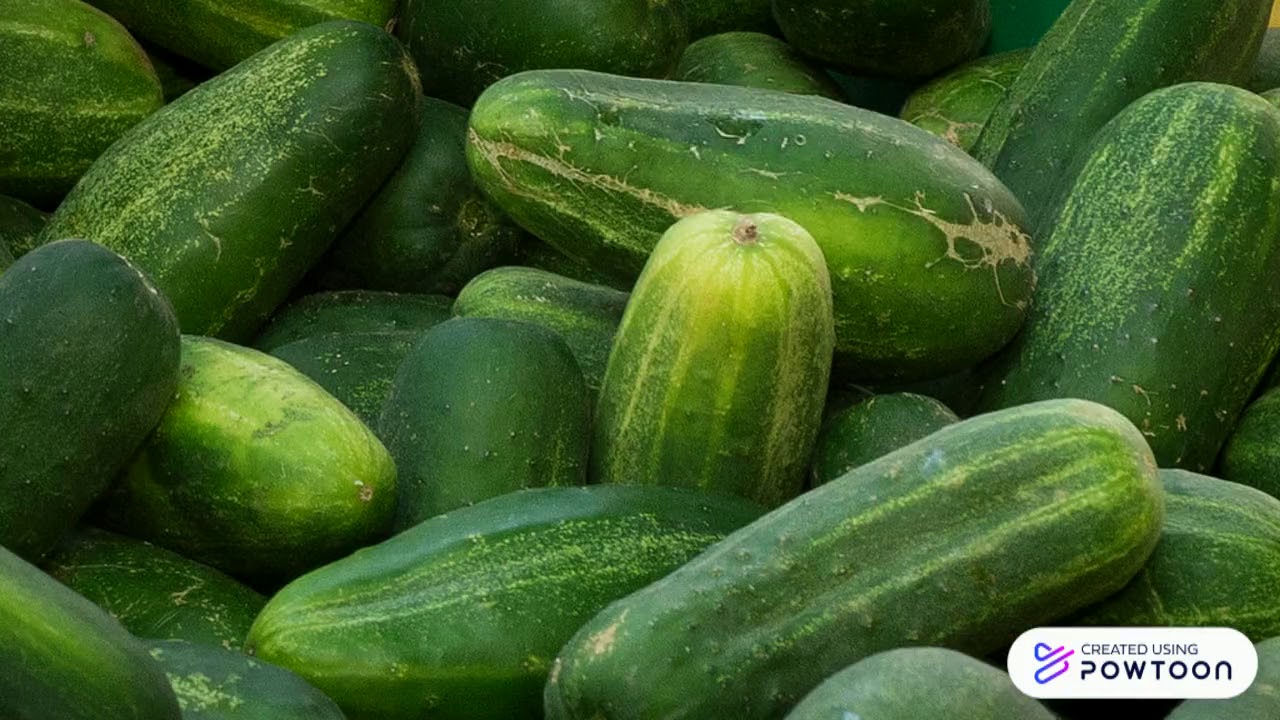 What's in Season June - YouTube