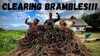Clearing Brambles with Oregon Mulching Blade and Titan 43cc Brushcutter| Polytunnel Build Part one