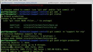 Puppet Deploy for Bitbucket Server - Usage
