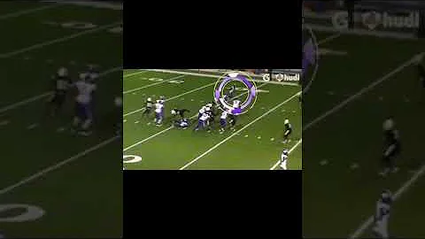 Fabian willis junior season