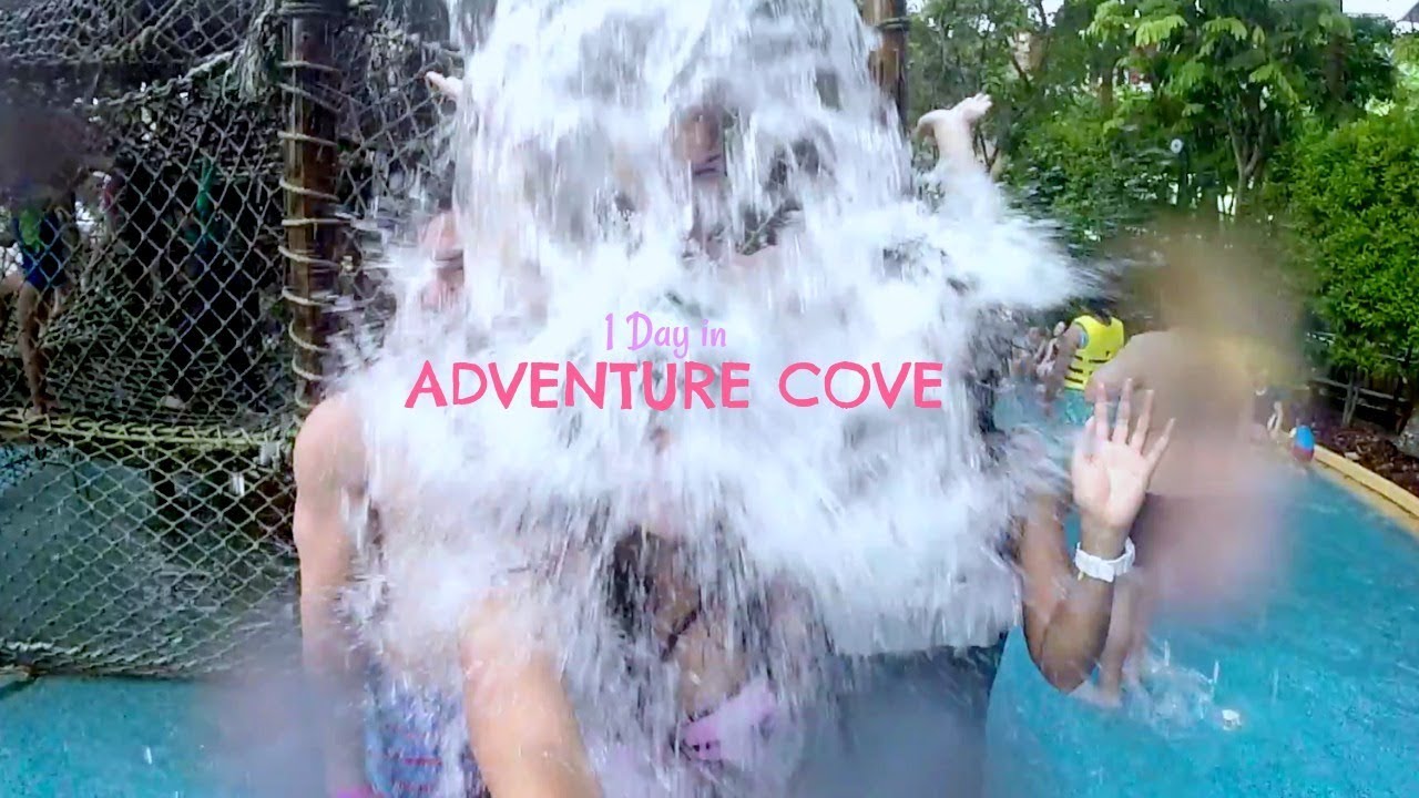 Adventure Cove | Water Park at Sentosa SINGAPORE 🇸🇬 - YouTube