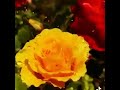 ШЄШ Ш ШЁШ Щ Щ Ш Ш Щ Ш Щ ШўЩЃШ ЫЊШЇЩ вЂЊШ Щ ШЇ ШЄШ Ш ШЁШ Щ Щ Ш Ш Щ Ш Щ ШўЩЃШ ЫЊШЇЩ вЂЊШ Щ ШЇ