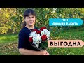 #Сетевой Маркетинг в #2024 году (стоит ли начинать?)