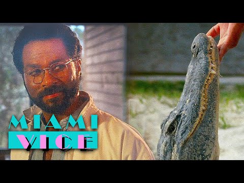 Video: Miami Vice přichází na americký víkendový box