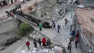 Kagbeni Sheep A Silly Frenchman