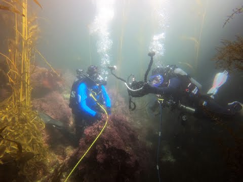 Learn about SCUBA Diving & Underwater Technology with the State Parks Dive Team!