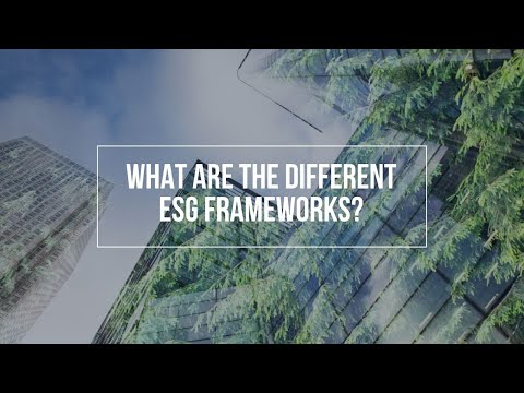 What Are the Different ESG Frameworks?