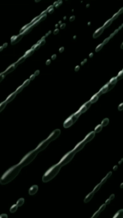 INVISIBLE (NCS Release)