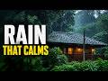 Serene Forest Rain on House | Calming Sounds for Sleeping and Stress Relief