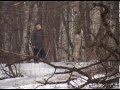 Жители поселка Малаховка бьют тревогу за свой лес