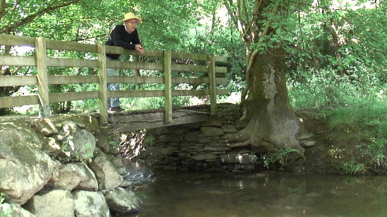 Résultat de recherche d'images pour "yves duteil le petit pont de bois youtube"