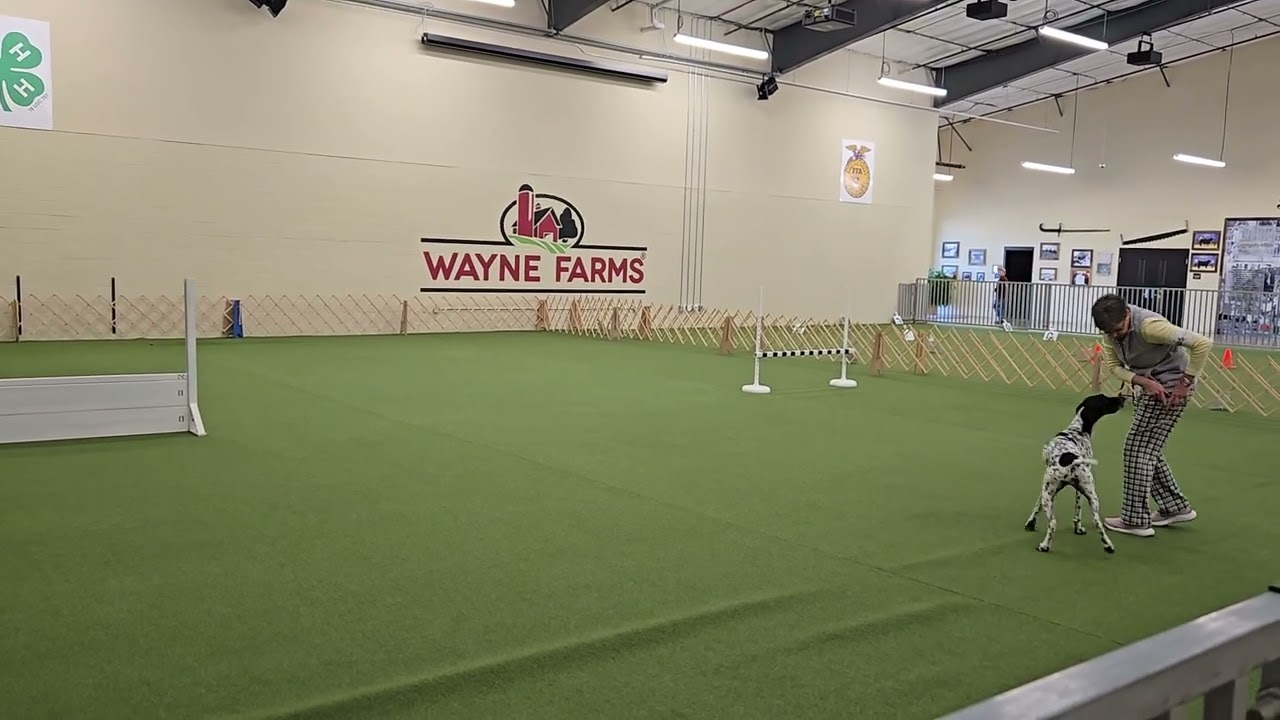 Bea Ukc utility part 2 dir jump