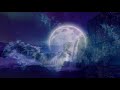Deep Sleep Music, Calm Music, Sleep Meditation, Insomnia, Relaxing Music, Study, Spa, Sleep, ☯1973