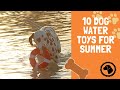 10 Dog Water Toys For Summer | DOG PRODUCTS 🐶 #BrooklynsCorner