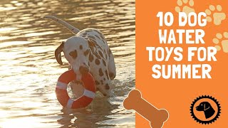 10 Dog Water Toys For Summer | DOG PRODUCTS 🐶 #BrooklynsCorner