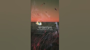 أكتب شي تؤجر عليه   #قران #تلاوة_خاشعة #قرآن_كريم #ارح_سمعك♡♡♡ #foryou #اكسبلور #duet #دويتو #قرآن